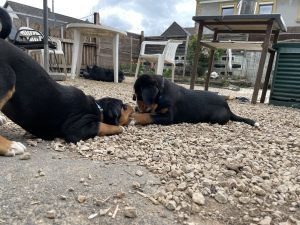 Kurze Verschnaufpause im Garten.
